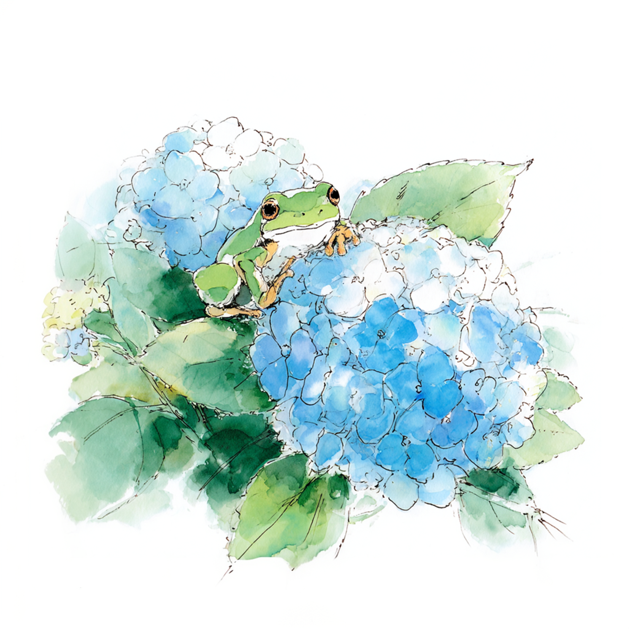 紫陽花の上にいるカエルの水彩イラスト