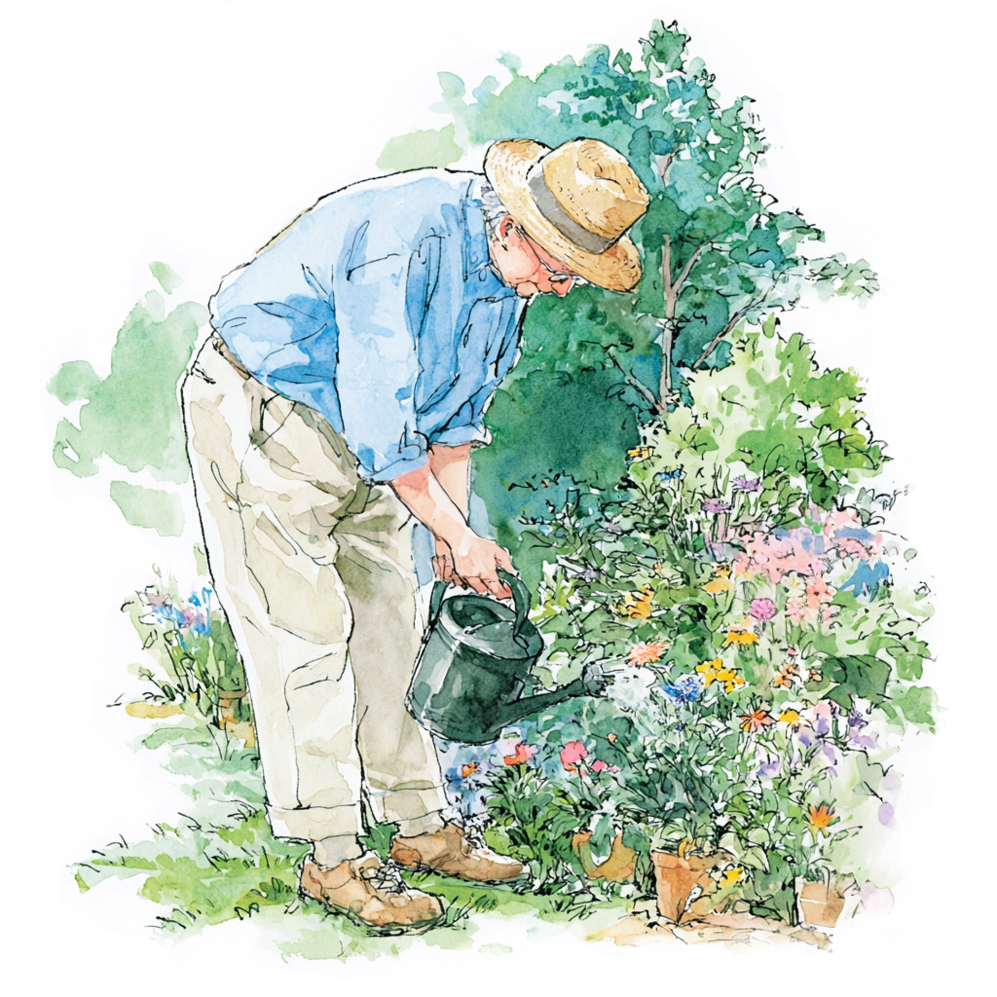 庭の草花にじょうろで水を上げているおじいさんの水彩イラスト