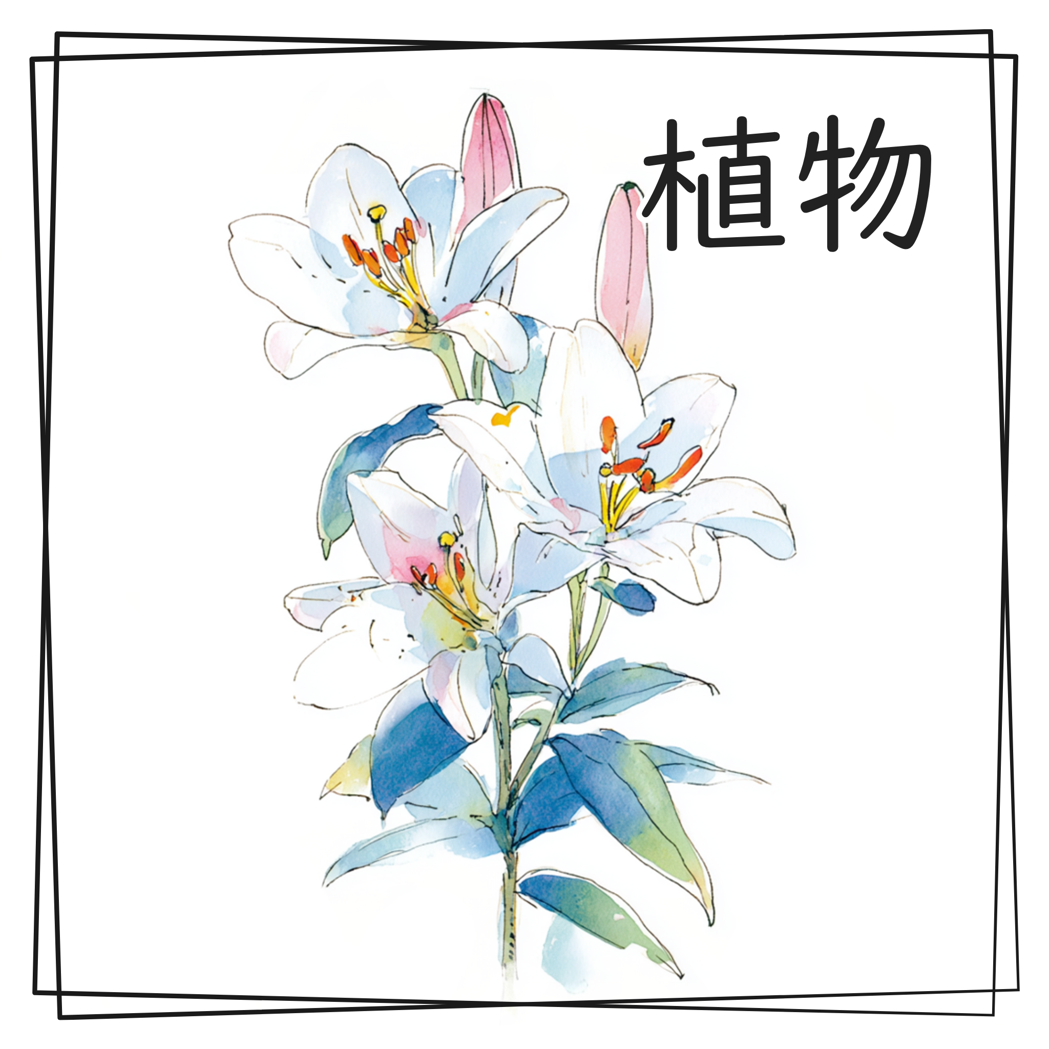 植物の水彩イラスト